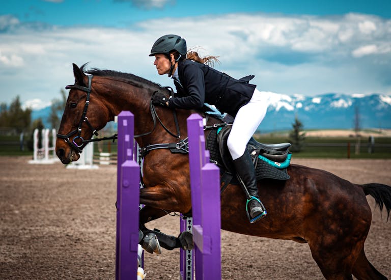 Jumping Into Style: What to Wear in a Show Jumping Ring