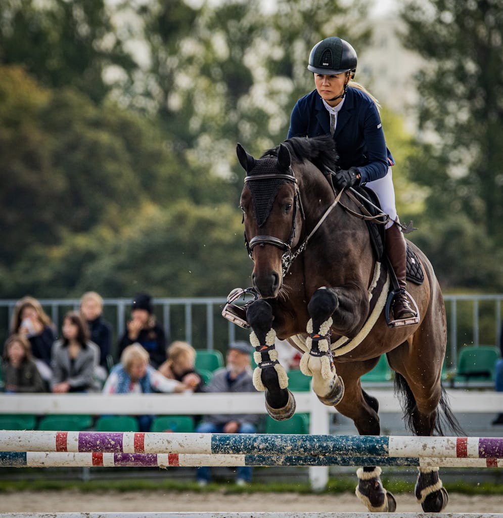 A Woman Riding a Horse in a Track