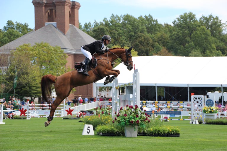 Mastering the Course: A Guide to Hunter/Jumper and Hunt Seat Equitation Terminology