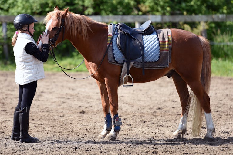 Dressing for Success: What to Wear in an Equitation Class