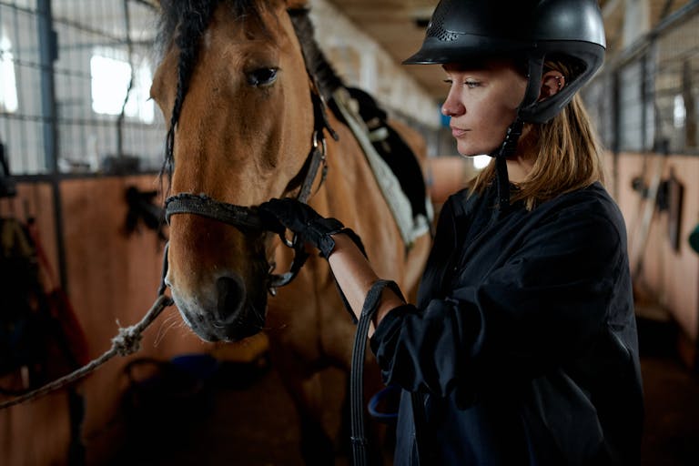 Equestrian Gear Guide: Equipping Yourself and Your Horse for a Safe and Successful Ride